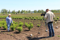 Смотрите каждый четверг передачу Дачные советы
