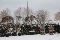 Наши садовые центры закончили работу в очередном сезоне 2016 года