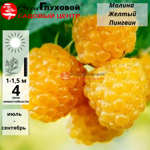 Основное изображение товара