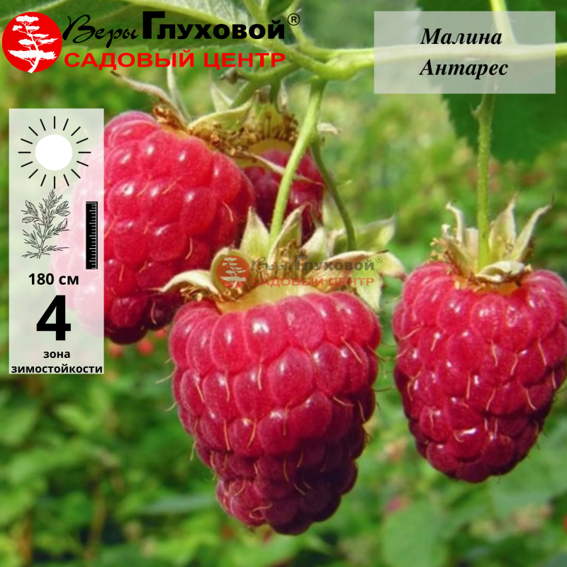 Рисунок 119.jpg