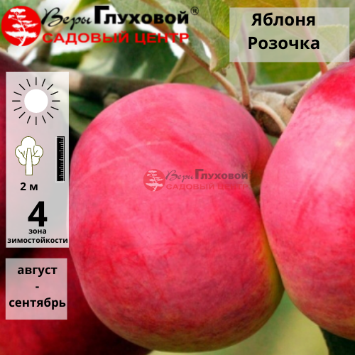 Основное изображение товара