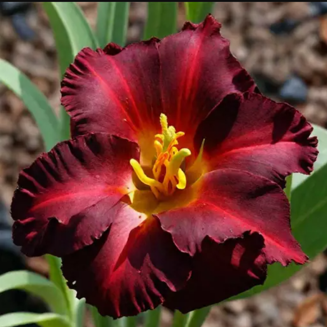 Основное изображение товара