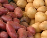 В продаже появился семенной картофель