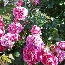 Основное изображение товара