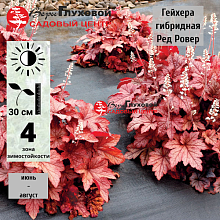 Основное изображение товара