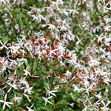 Основное изображение товара