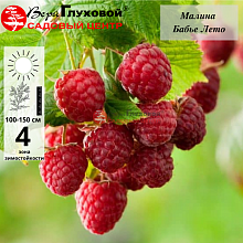 Рисунок 121.jpg