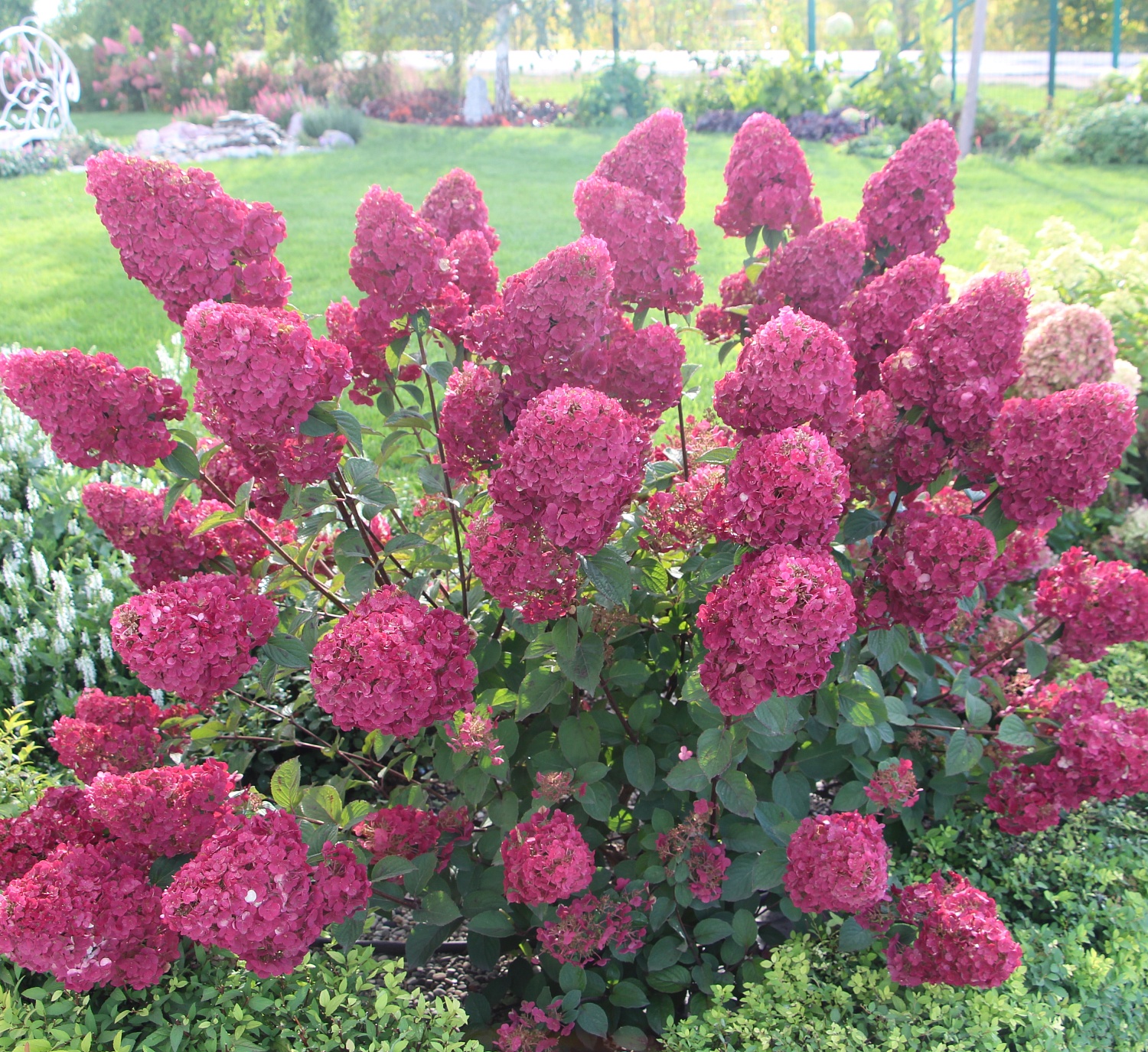 Внимание! Внимание! Внимание!