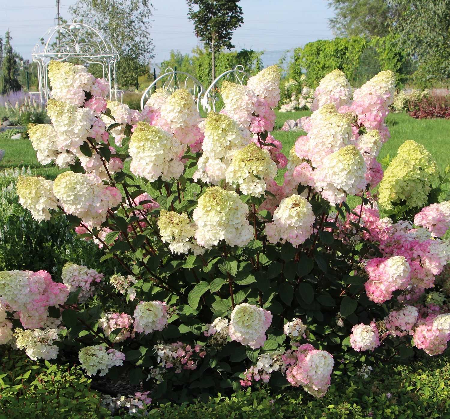 Безусловный лидер продаж