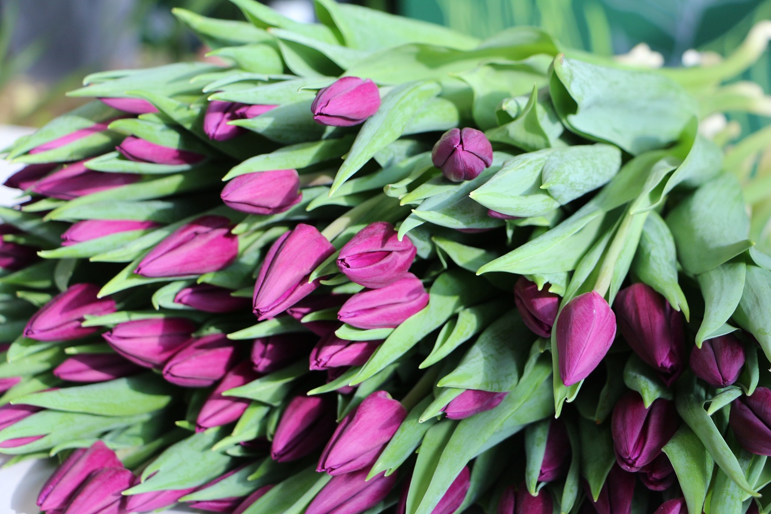 Срочная и очень хрустящая новость!